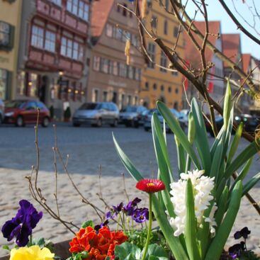 Dinkelsbühl, Ostermarkt Dekoration in der Stadt