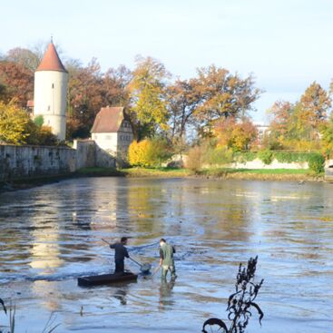 Dinkelsbühl, Fisch-Erntewoche abfischen Rothenburger Weiher